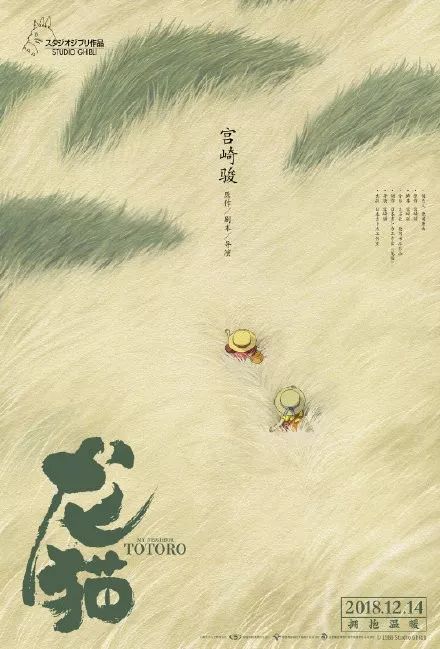 老挝驾驶证真实样板